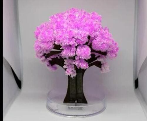 Magic Cherry Blossom Tree – Best Anniversary Gift, Romantic Decor & Good Anniversary Gifts